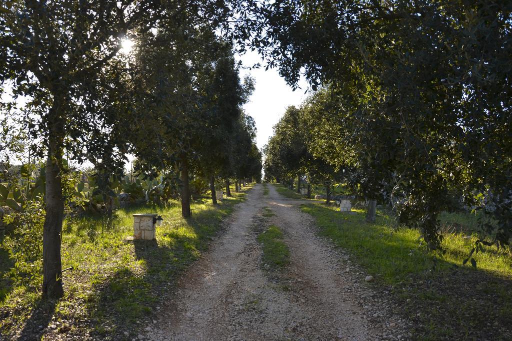 B&B Masseria Del Marchese Castellana Grotte Værelse billede